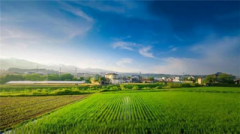 愛國小男孩助力數字鄉村建設