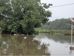 自然災害頻發，應急預案體系如何精準應對